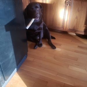 Meet your Posher, Pixie